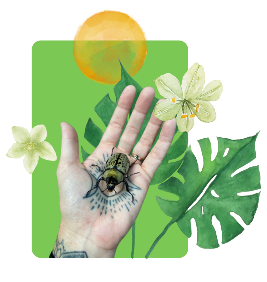 hand-collage