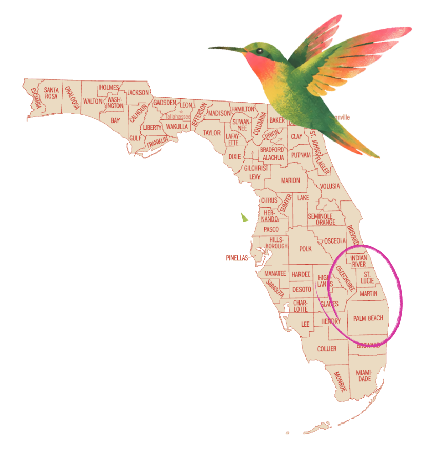 map-hummingbird